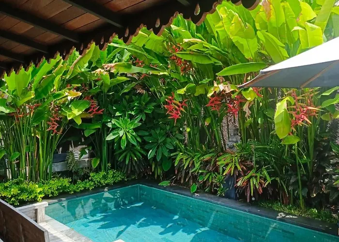 Lasuita * Canggu